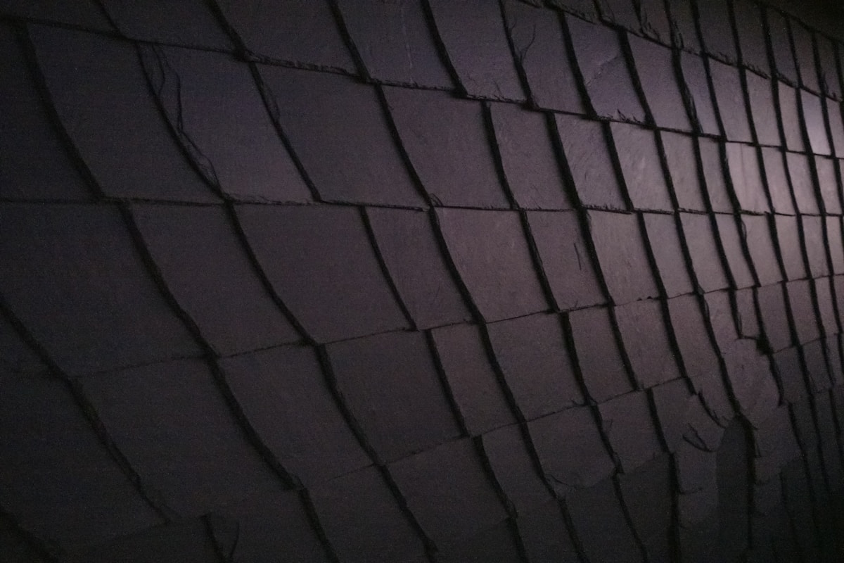 Detailed dark slate roof covering